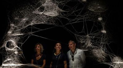 New York Exhibition Displays Spiderwebs