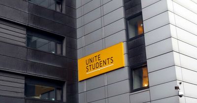 Unite Group returns to profit and predicts rental growth rise as students head back to university