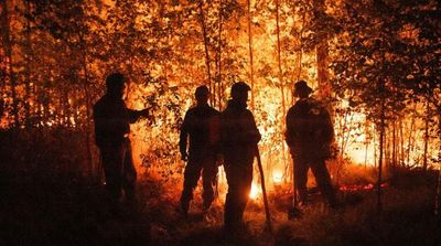 UN: Wildfires Getting Worse Globally, Governments Unprepared