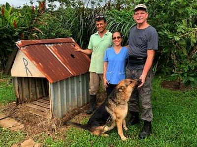 Dog kennel hit by meteorite could fetch up to £220,000 at Christie’s auction