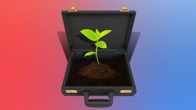 The green talent gap is widening