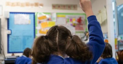 Four in five older primary school pupils likely to have had covid, new figures suggest