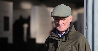 Willie Mullins' Cheltenham Festival hint sees punters fear for accas with big favourite