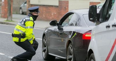 Detectives join uniformed gardai for major checkpoint along Irish road with multiple agencies involved