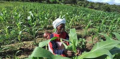 Rethinking risk can unshackle Africa's small scale farmers from the grip of poor weather