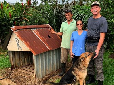 Dog kennel struck by meteorite up for sale for £220,000