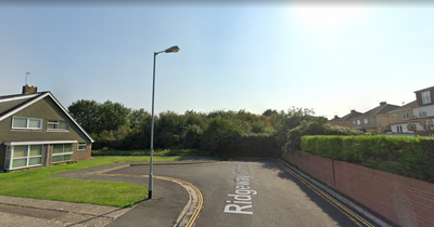 Residents concerned over plans to build five homes on woodland area in south Bristol