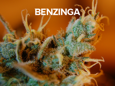 Cannabis Banking Solutions Provider Green Check Verified Promotes Dunford And Litke To Executive Level Positions