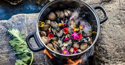 We went coastal foraging in West Wales and this is what we caught, cooked and ate