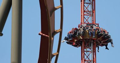 WIN four Merlin Gold Annual passes and prepare for the best year ever with The Mirror