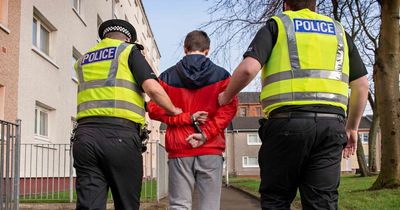 Lanarkshire local authority area is second only to big cities in crime count statistics