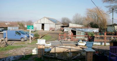 Hartcliffe farm to open to public 'in the spring' after lease is signed