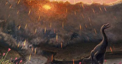 Asteroid that killed dinosaurs 66 million years ago hit Earth during spring