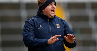 Darragh Egan had no qualms about taking up mantle from Davy Fitzgerald in Wexford