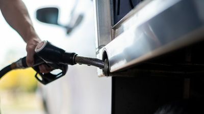 Russia sanctions, Ukraine conflict likely to increase petrol, gas, fertiliser and wheat prices