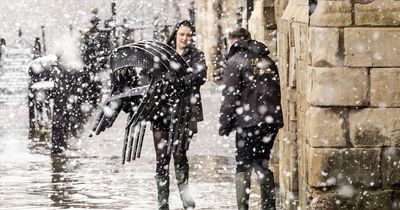 Met Eireann pinpoints when 'thundersnow' will hit amid 'hazardous' conditions and Storm Gladys fears