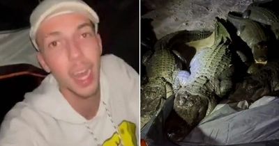 Terrifying moment camper awakes to find nest of CROCODILES invading his tent