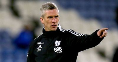 Steve Morison believes flashpoint turned the tide in Cardiff City's agonising loss to Huddersfield