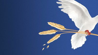 Russia's invasion of Ukraine puts wheat supplies at risk