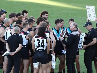 AFL premiership on Port's agenda: Hinkley