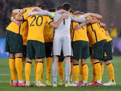 Socceroos still in WC box seat: Arnold