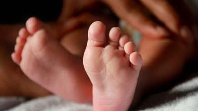 Queensland parliament to investigate establishing sperm, egg and embryo donor register