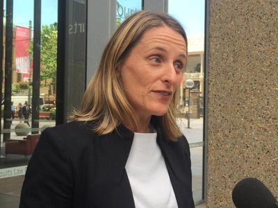 Greens elect lawyer to fill NSW parly spot