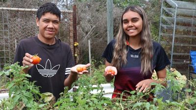 Port Lincoln Aboriginal Community Council garden helping people harvest a healthier future