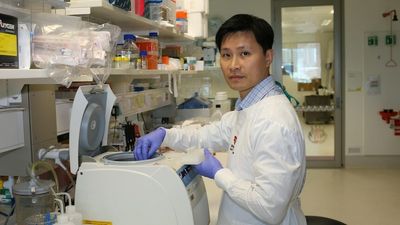 Queensland researchers reveal promising therapy that could treat the deadliest gynaecological cancer