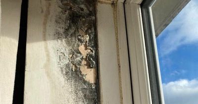 Dublin mam's flat nightmare as damp destroys belongings