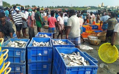 Sri Lankan Navy detains 22 Indian fishermen from Nagapattinam and Karaikal