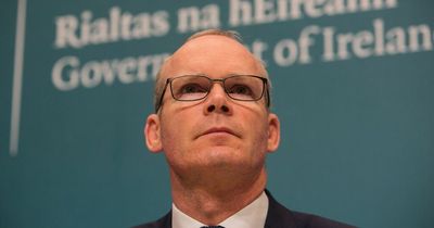 Simon Coveney blasts 'murderous' Russia invasion of Ukraine as he warns 'we cannot accept this'