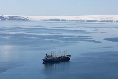 In Antarctica, does a burgeoning krill fishery threaten wildlife?