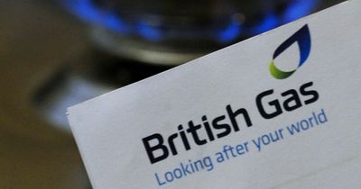 British Gas retail posts 44 per cent profits spike amid energy cost crisis