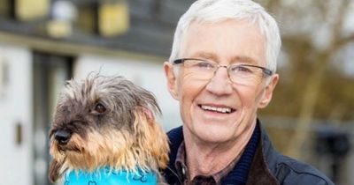 ITV For the Love of Dogs: Paul O'Grady can't help but take 'friendliest' stray home