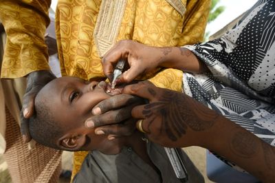 Malawi polio immunisation starts next month after outbreak