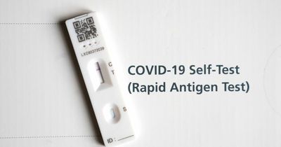 Do other countries provide free Covid tests?
