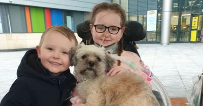 Joy for Ayrshire girl, 8, as she receives heartwarming hospital visit from her beloved dog