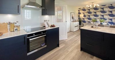 Lanarkshire housebuilder opens new show homes at Glenmavis development