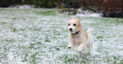 Minister insists Boris Johnson's tax-funded photographers are good value for money