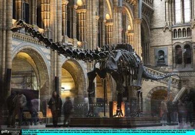 Dippy the Dinosaur returns to Natural History Museum