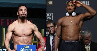 Andre Ward wanted to bulk up to heavyweight to fight 17-stone Anthony Joshua