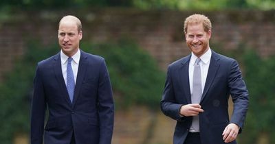 Subtle sign Prince William is willing to forgive Prince Harry, according to expert