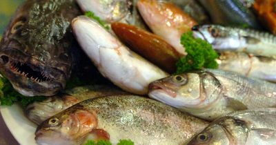 Denholm Seafoods boosts exports with eight-figure funding package