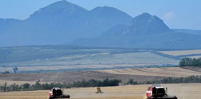 How Russia-Ukraine conflict could influence Africa's food supplies