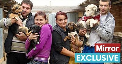 'We've saved 5,000 cats and dogs so far, now we need your help to continue'