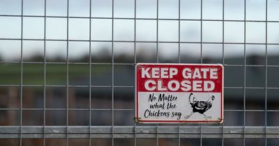 Protection zone created after avian flu outbreak is discovered in Gateshead