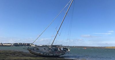 Stormy weather brings surprising new attraction to north Dublin beach