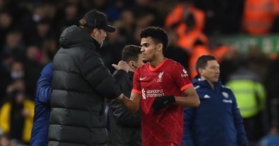 Former Everton striker explains why Luis Diaz is 'putting pressure' on Liverpool boss Jurgen Klopp