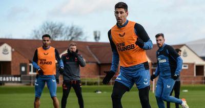 Newcastle United news: Fernandez return provides boost plus latest on Saint-Maximin injury